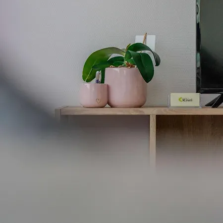 Dunes - Kiwi アパート エオレ